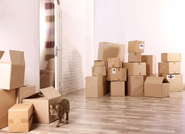 stěhování bytu