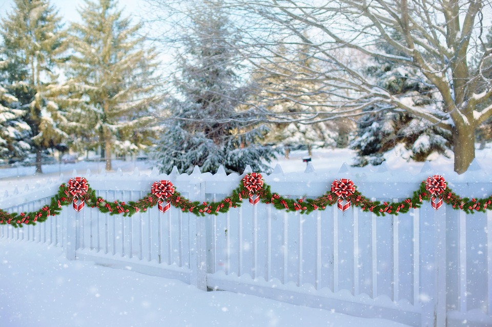 plot v zimě